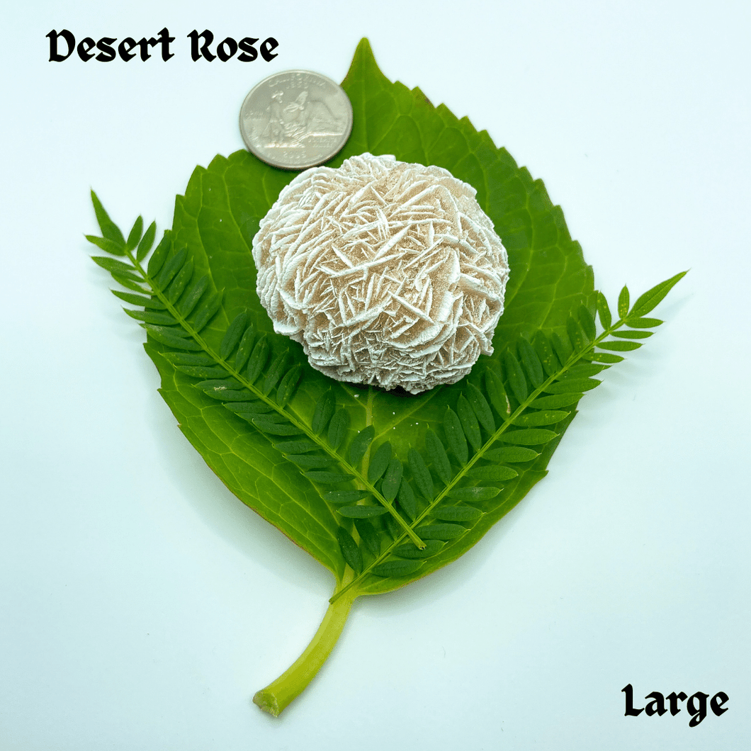 Raw Desert Rose