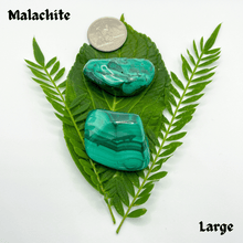 Load image into Gallery viewer, Tumbled Malachite
