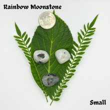 Load image into Gallery viewer, Tumbled Rainbow Moonstone
