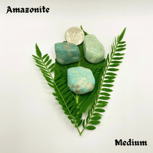 Load image into Gallery viewer, Tumbled Amazonite
