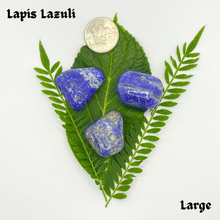 Load image into Gallery viewer, Tumbled Lapis Lazuli
